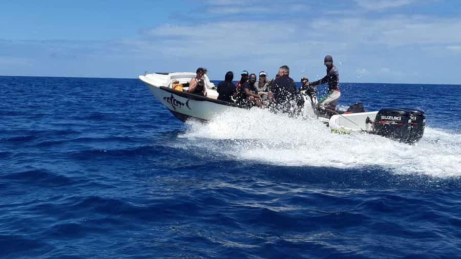 Tamarin Bay: Beginners Scuba Diving Experience - Getting comfortable with the equipment in the pool