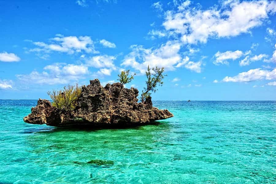 Tamarin: Dolphin Snorkel, CrystalRock, ile o Benitiers Lunch - Crystal Rock and the open-water views