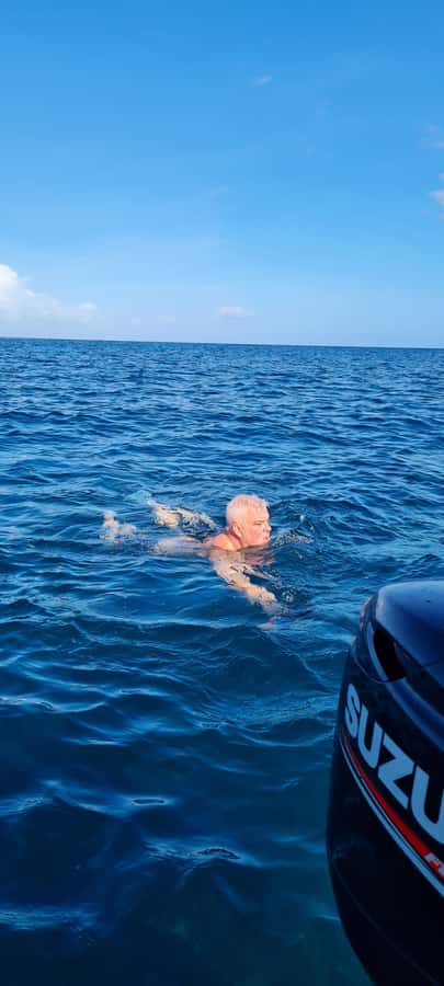 Tamarin: Dolphin Snorkel, CrystalRock, ile o Benitiers Lunch - What the $77 price really covers