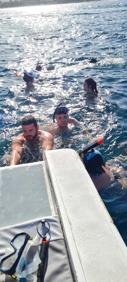 Tamarin: Dolphin Snorkel, CrystalRock, ile o Benitiers Lunch - Should you book it?