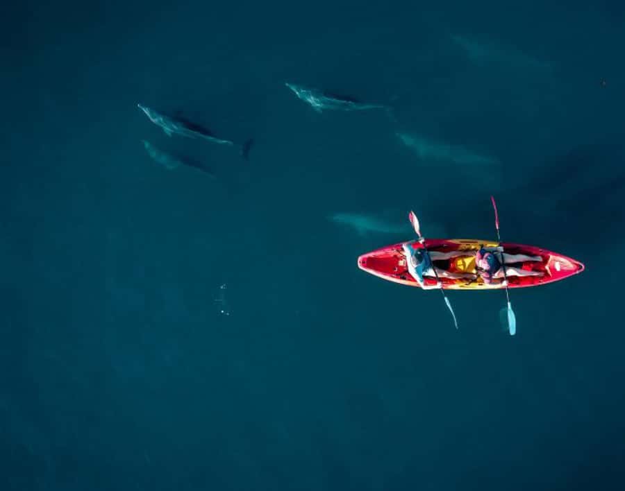 Tamarin: Guided Kayak Tour with Dolphins - Why Tamarin Bay works best at sunrise