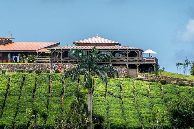Tea Experience in the Exotic South of Mauritius Private tour. - Takamaka Boutique Winery and lychee wine