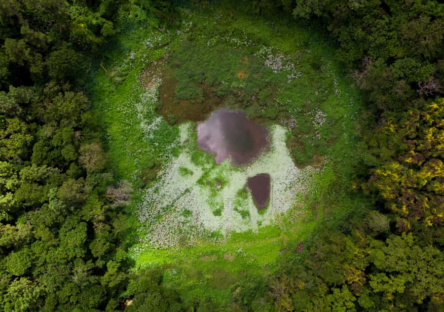 Tea Route: Lake, Forest, Tea Plantation & 3 Course Lunch - Trou aux Cerfs: a quick look at volcanic Mauritius