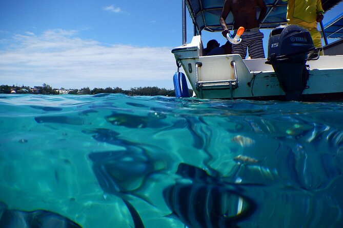 The Adventure East of Mauritius: 3-Watersport Activities & Blue-Bay Marine Park - Walking on the seabed at 3 to 4 meters