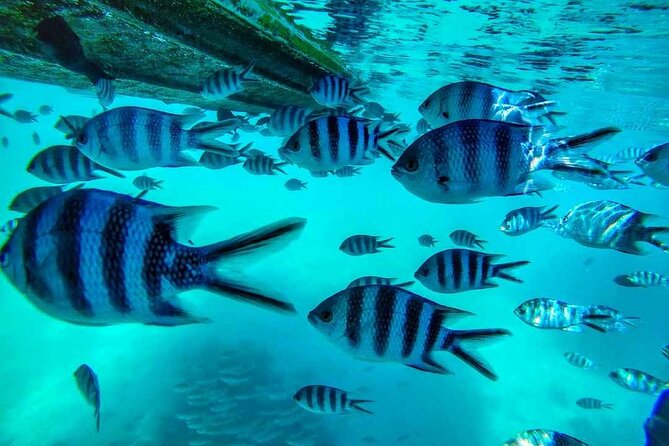The Adventure East of Mauritius: 3-Watersport Activities & Blue-Bay Marine Park - A halal three-course lunch in the Mahebourg area