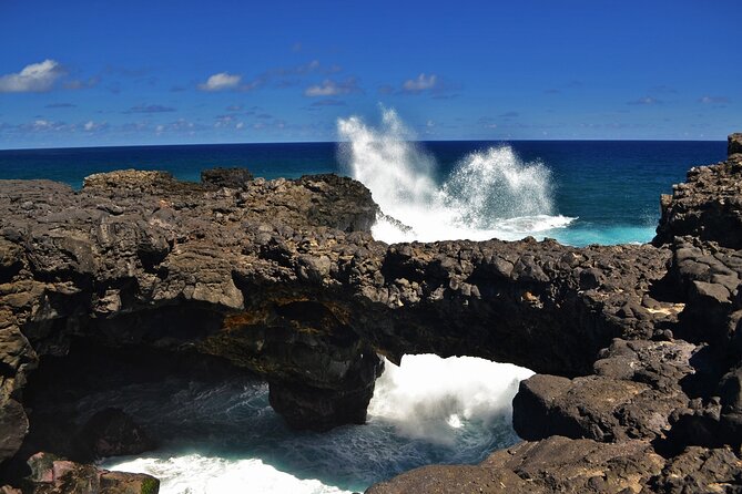 The East of Mauritius: Full-day incl visit to Ile aux Aigrettes & Lunch - Pointe Canon and the abolition of slavery