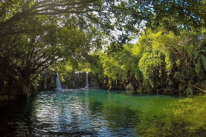 The Hidden Treasures of Mauritius, ALL INCLUSIVE Day Trip, Private SUV Car - Gris Gris shows the coast without a coral reef