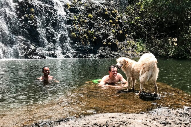 The Tamarind Falls (7 Cascades) Adventure - Walking through the forest and toward the cascades