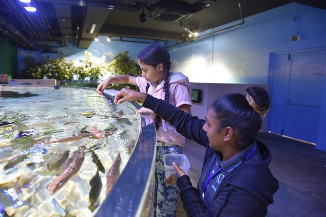 Ticket to the largest Oceanarium of the Mascarene Islands - How long you should allow