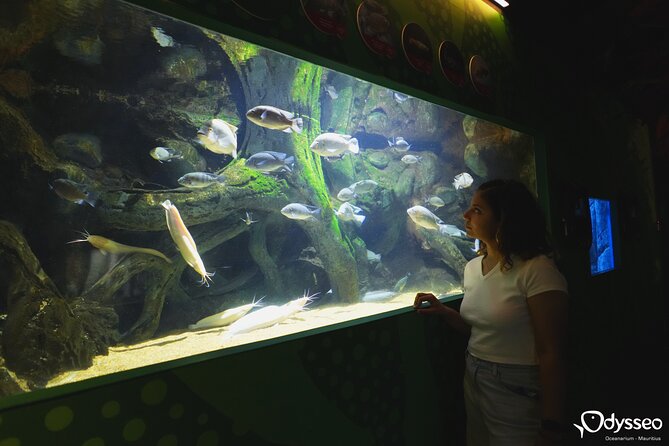 Ticket to the largest Oceanarium of the Mascarene Islands - Who will enjoy this experience most