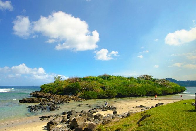 Tropical South West of Mauritius: Full-day All Inclusive tour (Visit to 3 parks) - Alexandra Falls and Black River Gorges bring the best views