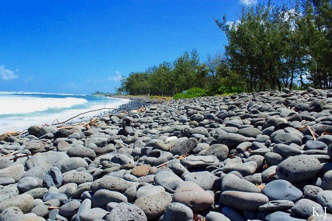 Tropical South West of Mauritius: Full-day All Inclusive tour (Visit to 3 parks) - Rum at Saint Aubin is one of the day’s tastier stops