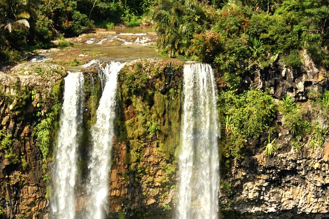 Trou-aux-Cerfs - Grand Bassin - 7 Coloured Earth - Wild South Guided Tour - Why this south-island day is worth your time
