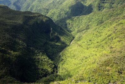 Trou-aux-Cerfs – Grand Bassin – 7 Coloured Earth – Wild South Guided Tour