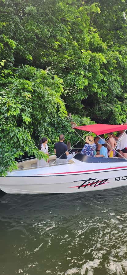 Trou D'Eau Douce: 5 island tour Mauritius with lunch/drinks - What the guide and captain add to the day