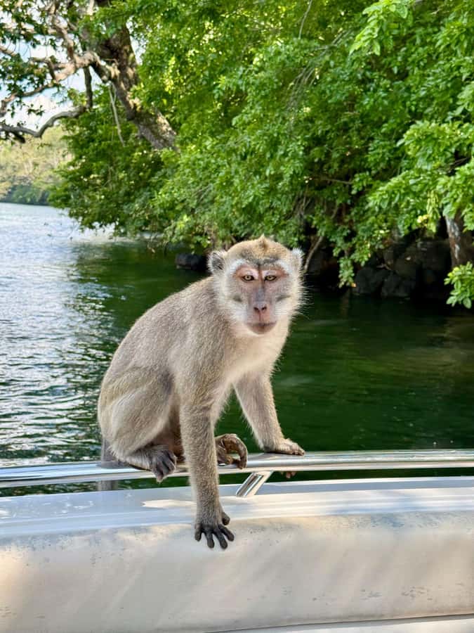 Trou D'Eau Douce: 5 island tour Mauritius with lunch/drinks - Île aux Cerfs gives you the classic Mauritius postcard