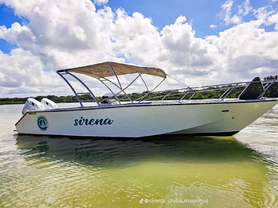 Trou d'Eau Douce: Waterfall and Ile aux Cerfs Day Trip - What makes this Mauritius boat trip worth considering