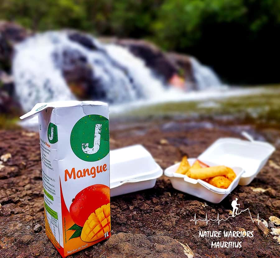 Vacoas-Phoenix: Private Hiking Tour to Tamarind Falls - Who should book this hike