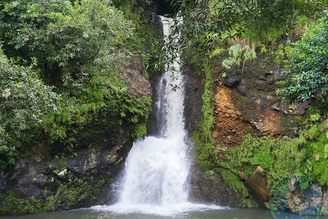 Vallé Advenature Park, South Mauritius - What your $20 admission really gets you