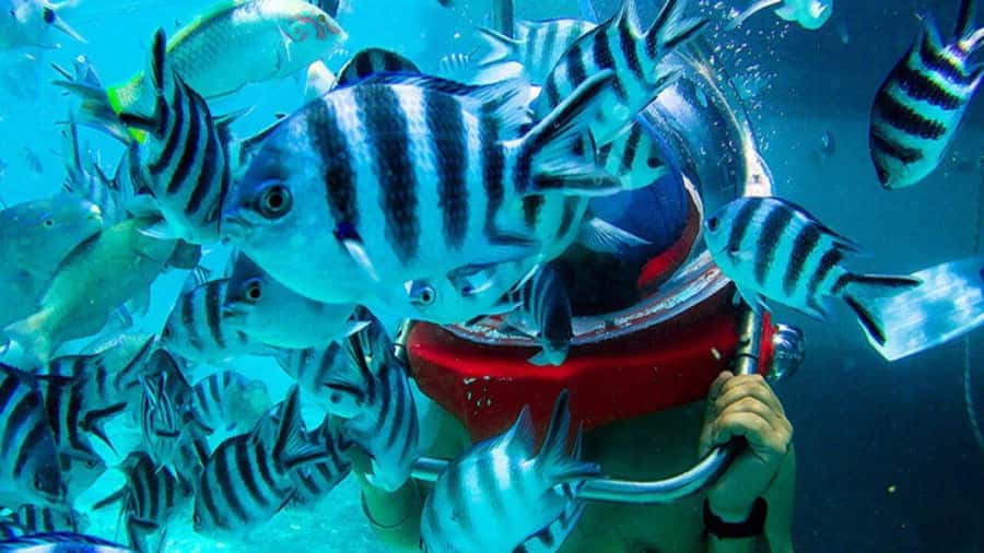 Walking under the sea in Mauritius with transfer - Key details before you book