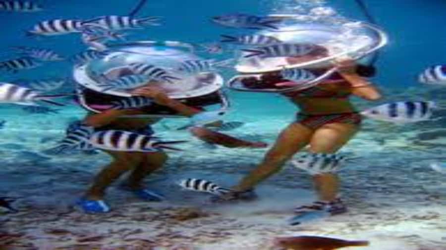 Walking under the sea in Mauritius with transfer - Is $170 a fair price?