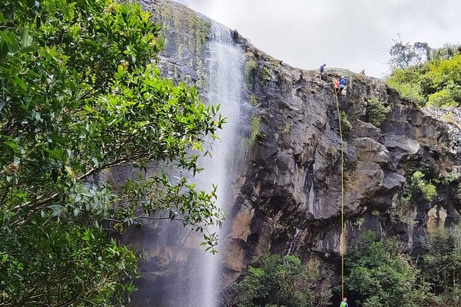 Waterfall Hike - The route into the bush is part of the experience