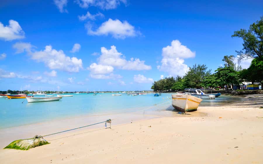 West: Swim wz dolphins, Crystal Rock, Lunch Benitiers island - FAQ