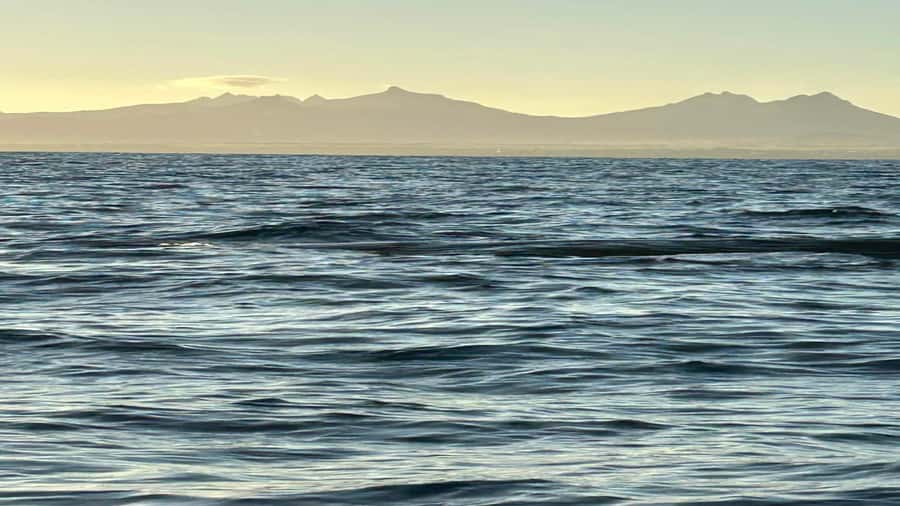 Whale & Dolphins Swimming - Private Speedboat Exclusive Tour - Who will enjoy this Mauritius boat trip?