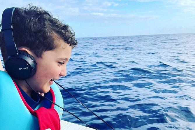 Whale Dream ltd - Whales watching and swim with dolphins - A private boat changes the experience