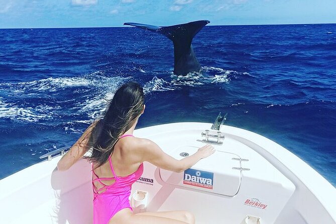 Whale Dream ltd - Whales watching and swim with dolphins - Who should book Whale Dream?