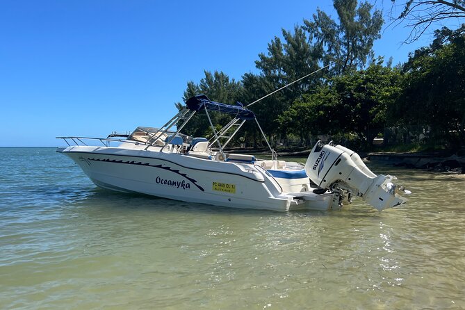 Whale Watching and Private Ocean Safari Experience in Mauritius - Setting out from Black River Bay at 7:00 am