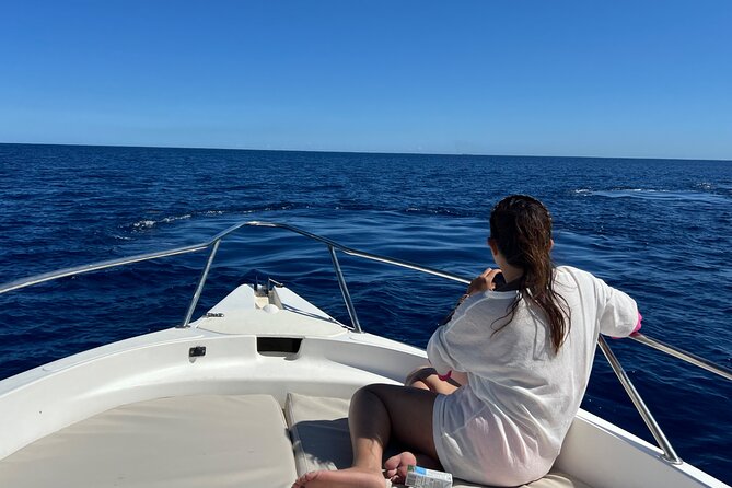 Whale Watching and Private Ocean Safari Experience in Mauritius - Learning about whales before watching them