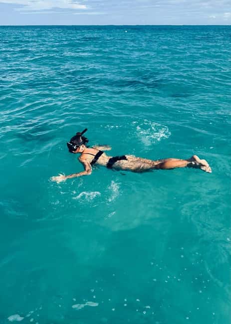 Wild Dolphin Encounter & Snorkeling Adventure – Mauritius. - Reaching the dolphin area by speedboat