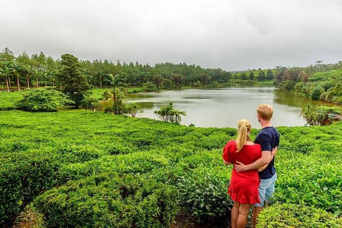 Wild South: Full-Day tour incl Rhumerie St Aubin, Bois cheri Tea factory & Lunch - Why this private Mauritius day tour has appeal