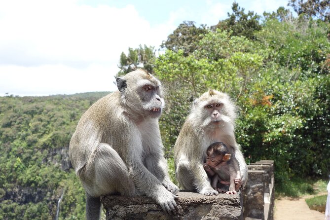 Wild South West Tour : SAFARI & TULAWAKA CASELA PARK & LE MORNE - Why this southwest route works