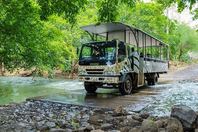 Wild South West Tour : SAFARI & TULAWAKA CASELA PARK & LE MORNE - Cascavelle lunch, with a local everyday feel